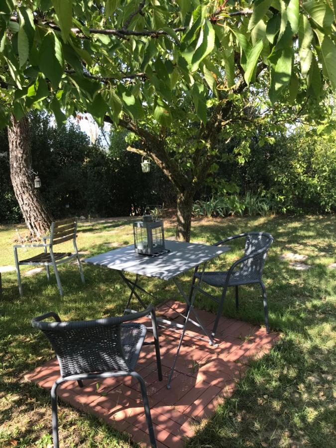 Le Jardin De La Cite Bed & Breakfast Carcassonne Eksteriør bilde