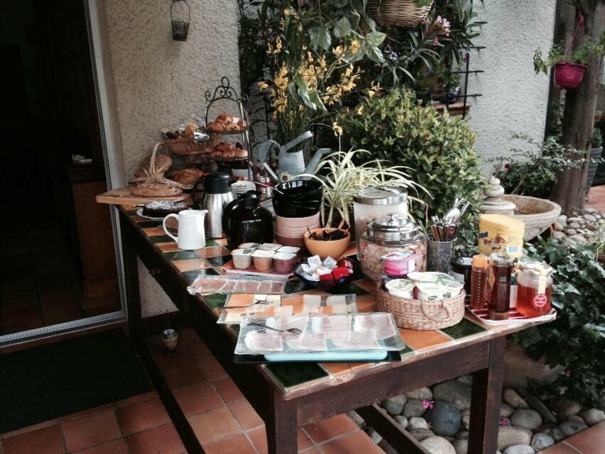 Le Jardin De La Cite Bed & Breakfast Carcassonne Eksteriør bilde